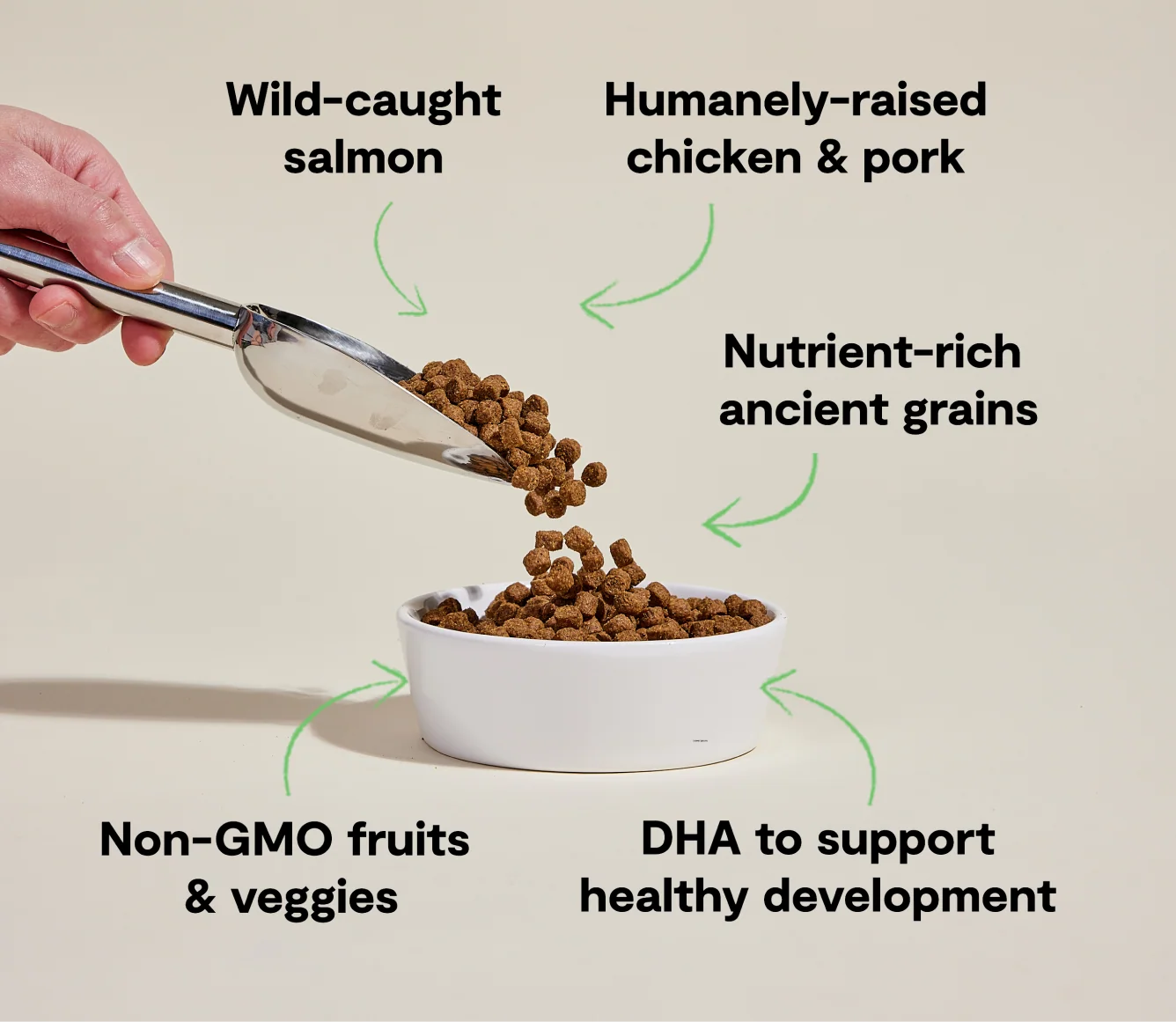 Chicken & Salmon Ancient Grains Puppy Kibble - Image 4