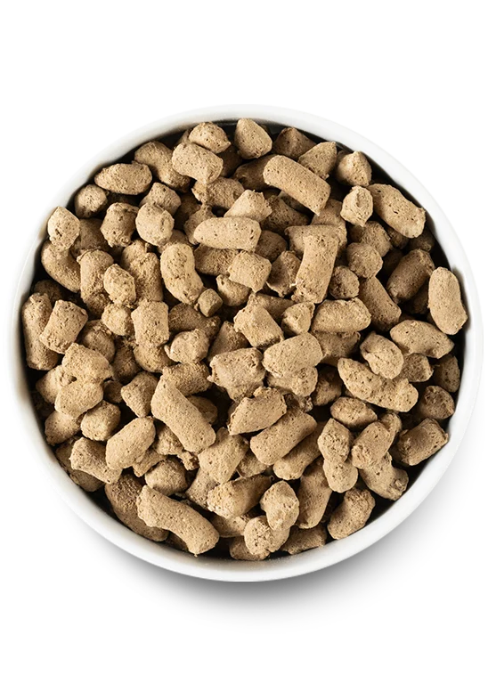 Ancient Grains Puppy Pack - Image 5