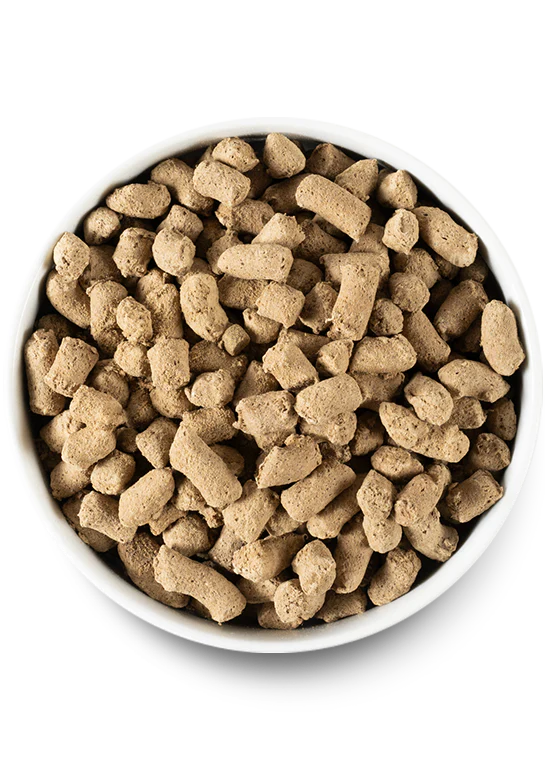 Best Sellers Dog Bundle - Image 5