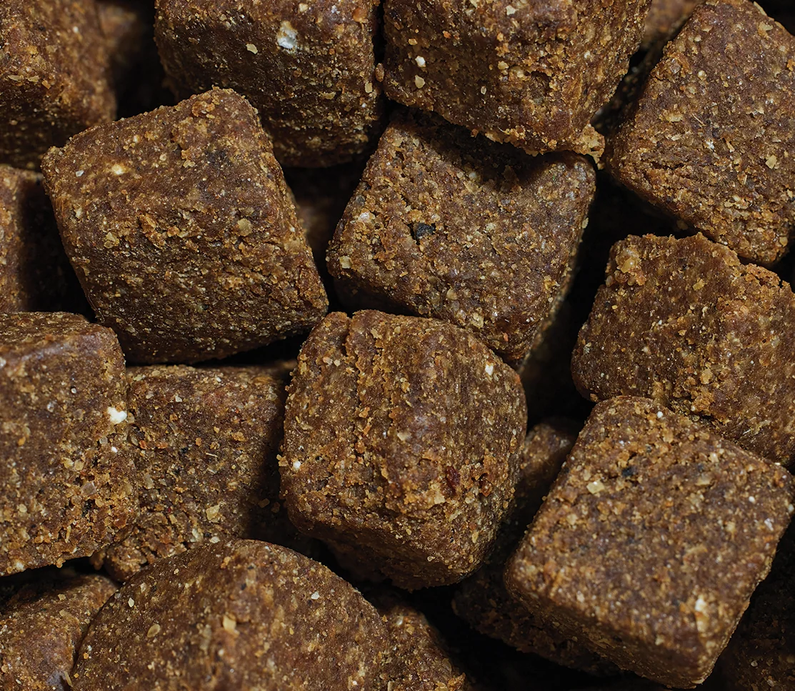 Calming Supplement Chews for Dogs - Image 3