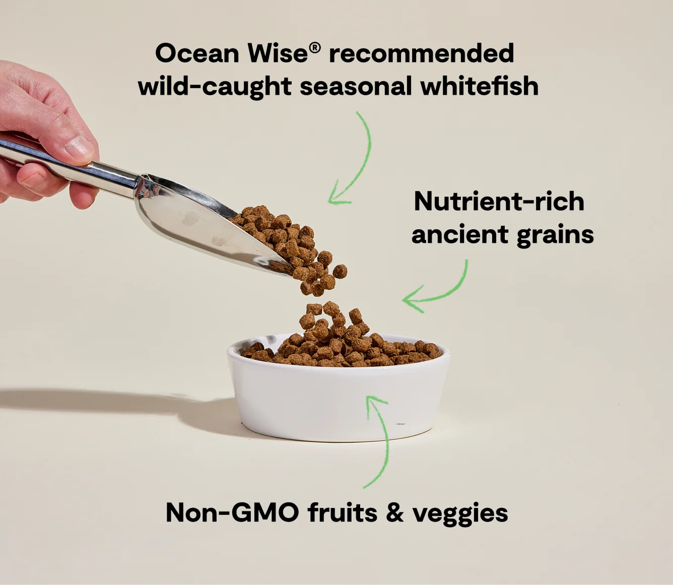 Whitefish & Ancient Grains Dog Kibble - Image 4