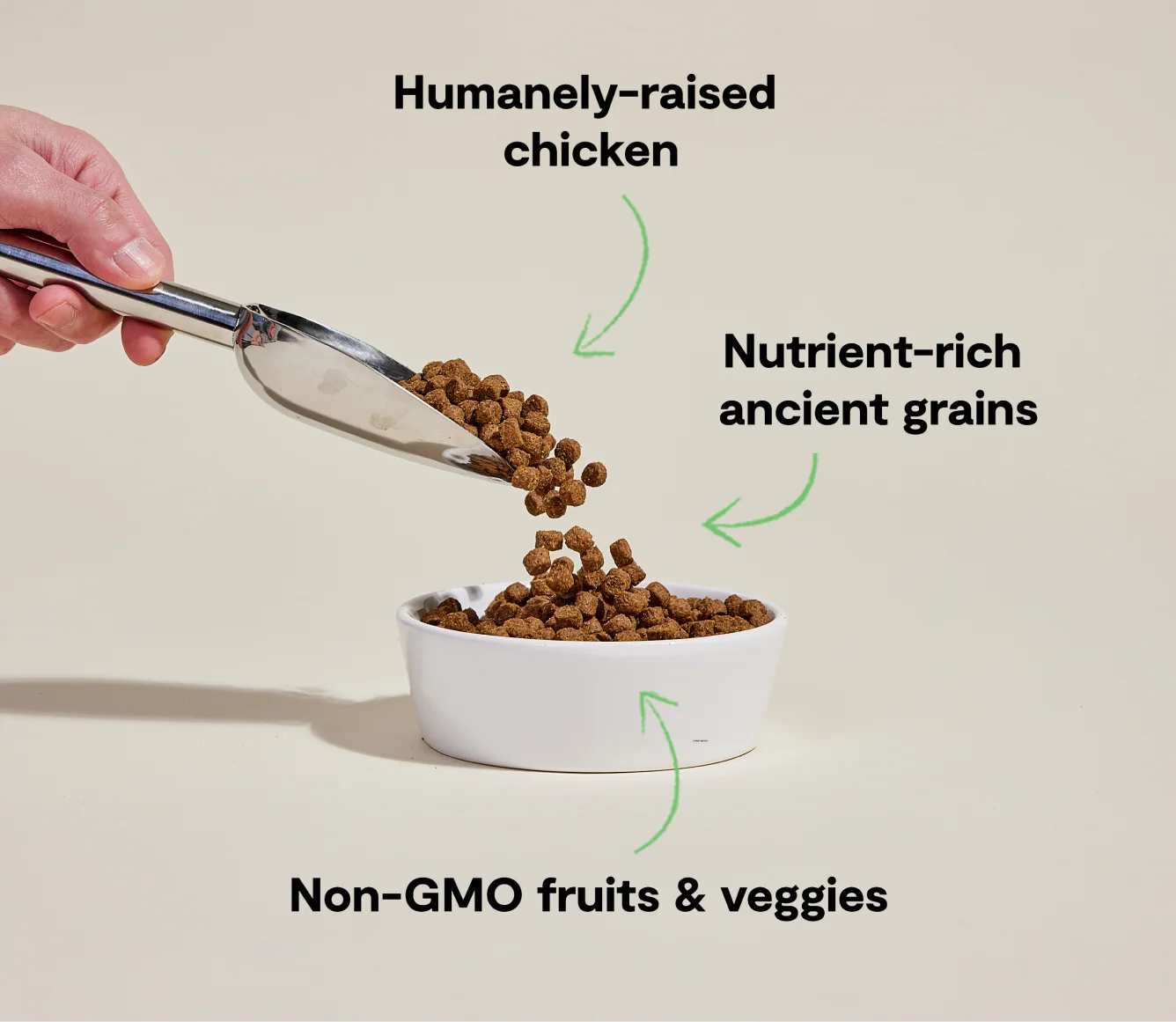 Harvest Chicken & Ancient Grains Dog Kibble - Image 4