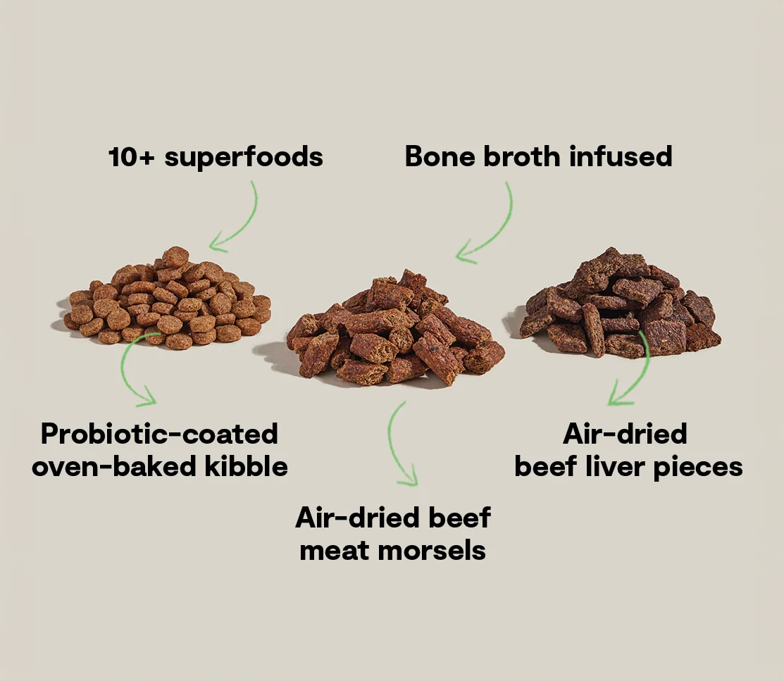Epic Blend Beef & Superfood Dry Dog Food - Image 5