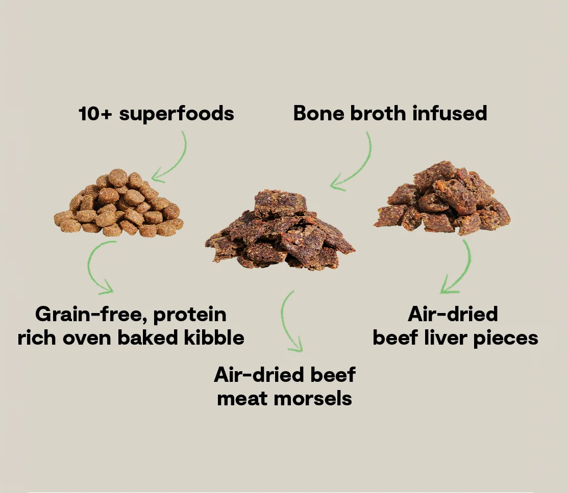 Epic Blend Beef & Superfood Grain-Free Dog Kibble - Image 4
