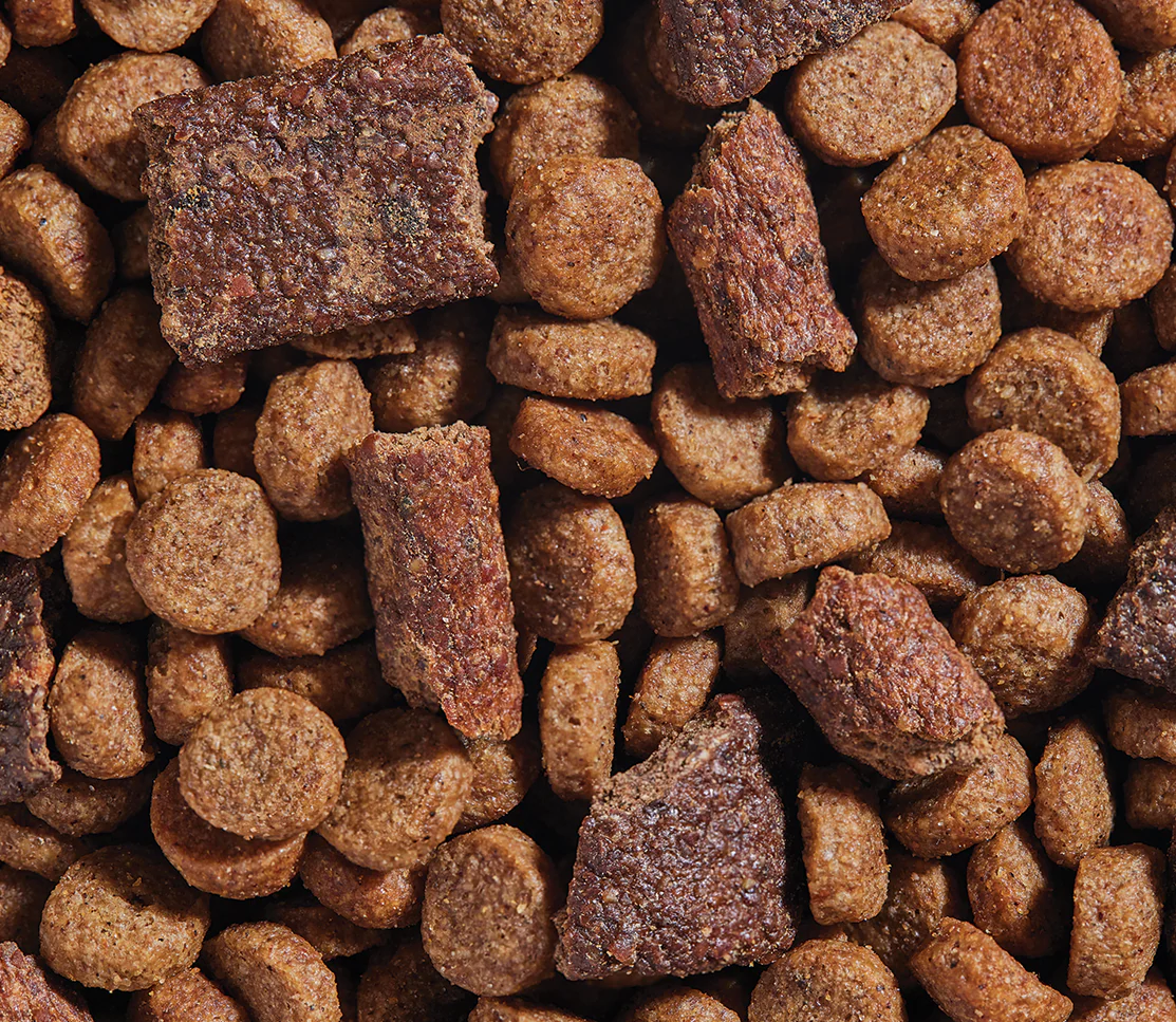 Epic Blend Chicken & Superfood Dry Dog Food - Image 4