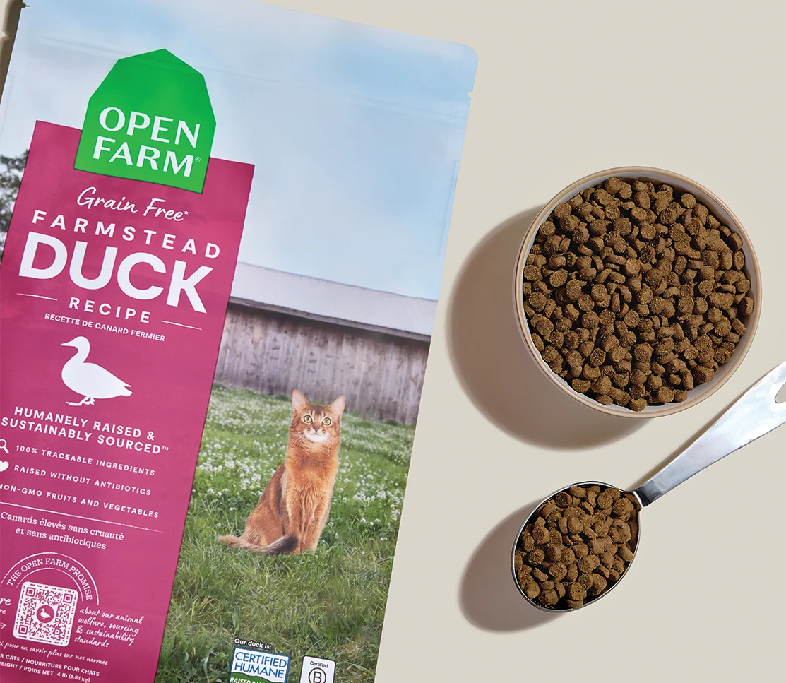 Farmstead Duck Grain-Free Cat Kibble - Image 3
