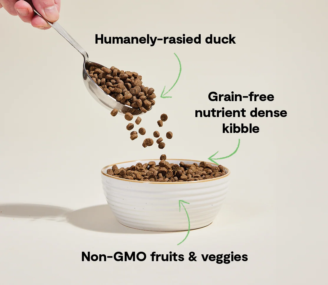 Farmstead Duck Grain-Free Cat Kibble - Image 4
