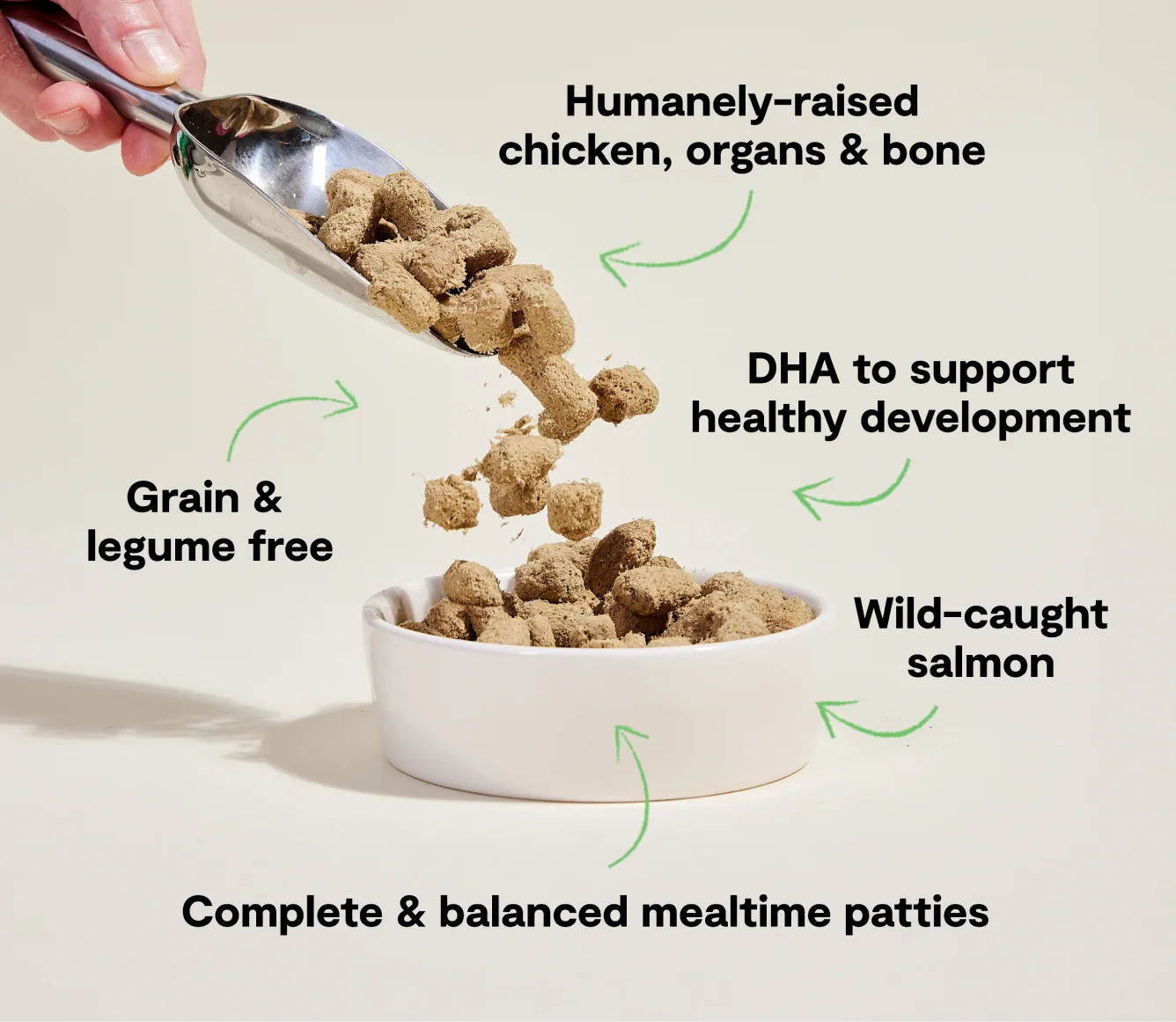 Chicken & Salmon Freeze Dried Raw Patties for Puppies - Image 4