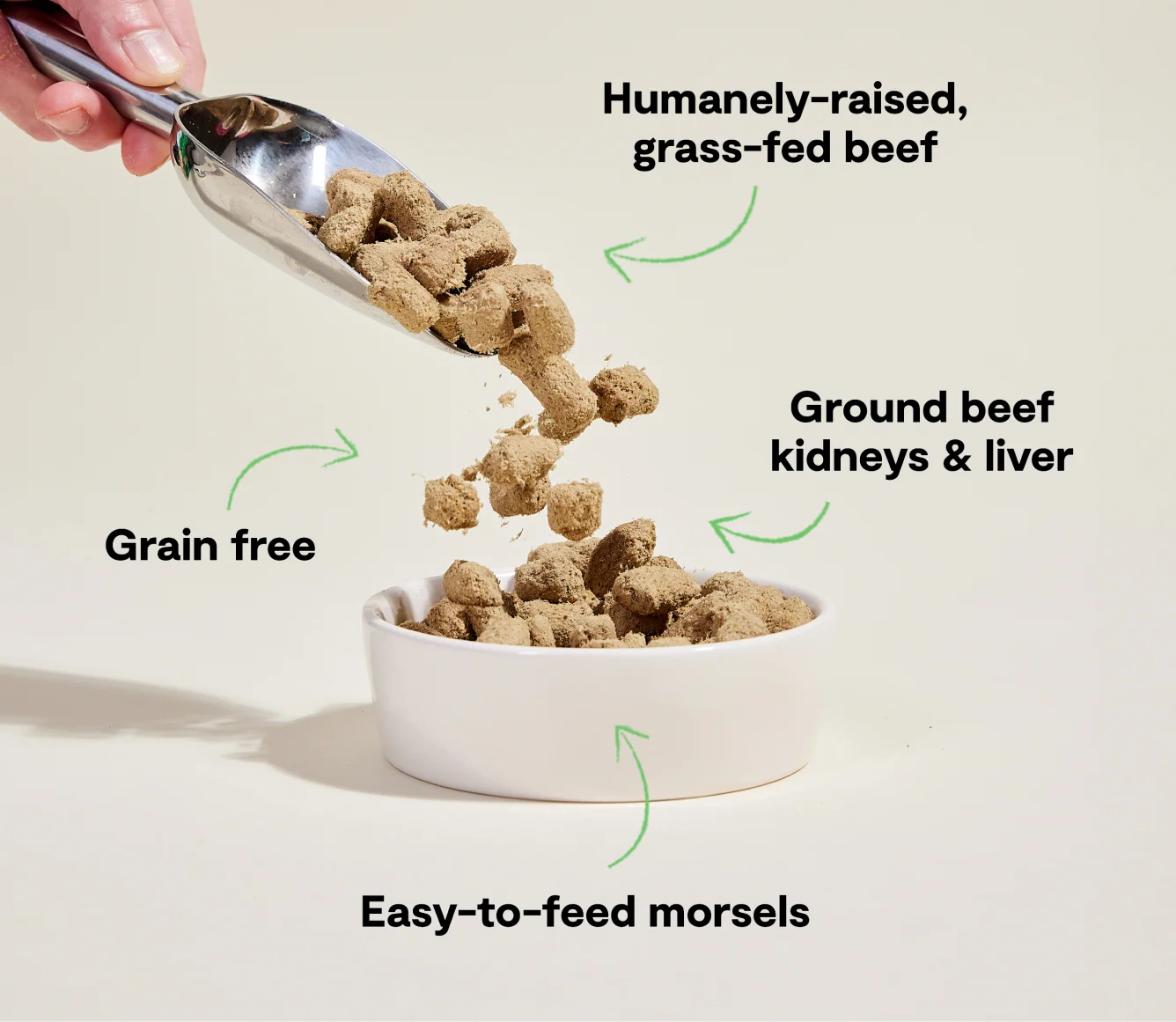 Grass-Fed Beef Freeze Dried Raw Morsels for Dogs - Image 4