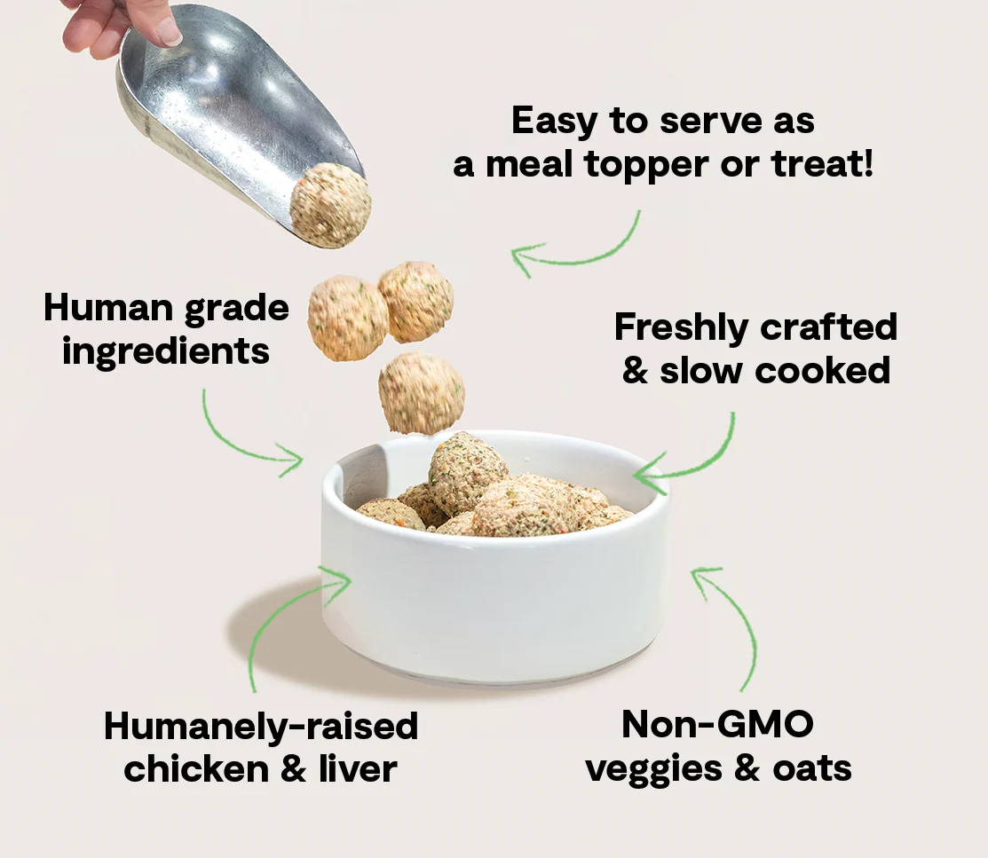 Harvest Chicken Freshly Crafted Meatballs for Dogs - Image 5