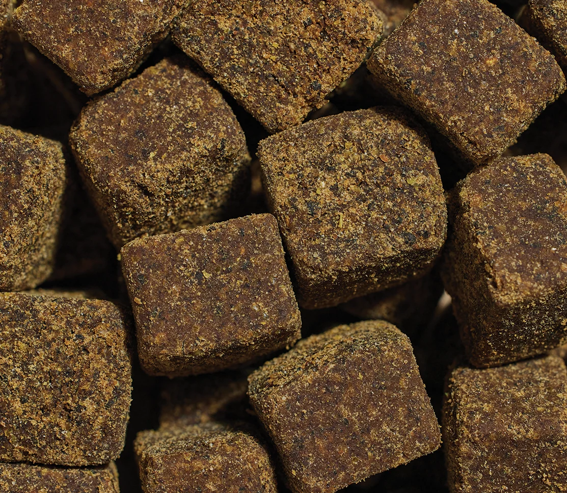 Hip & Joint Supplement Chews for Dogs - Image 3