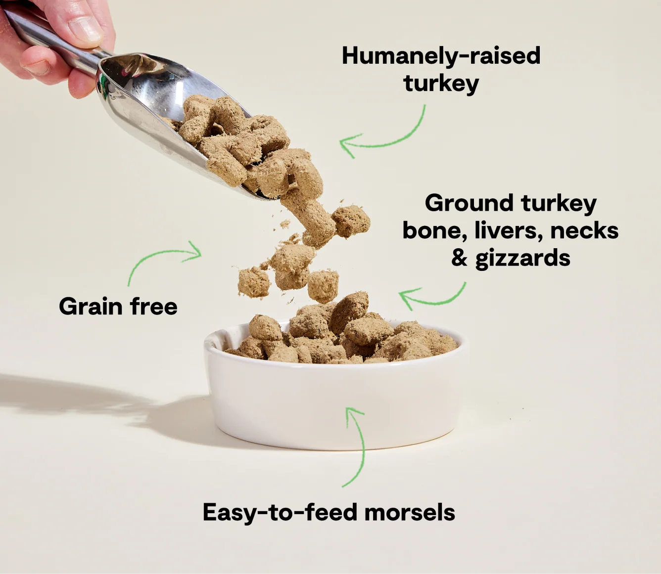 Homestead Turkey Freeze Dried Raw Morsels for Dogs - Image 4