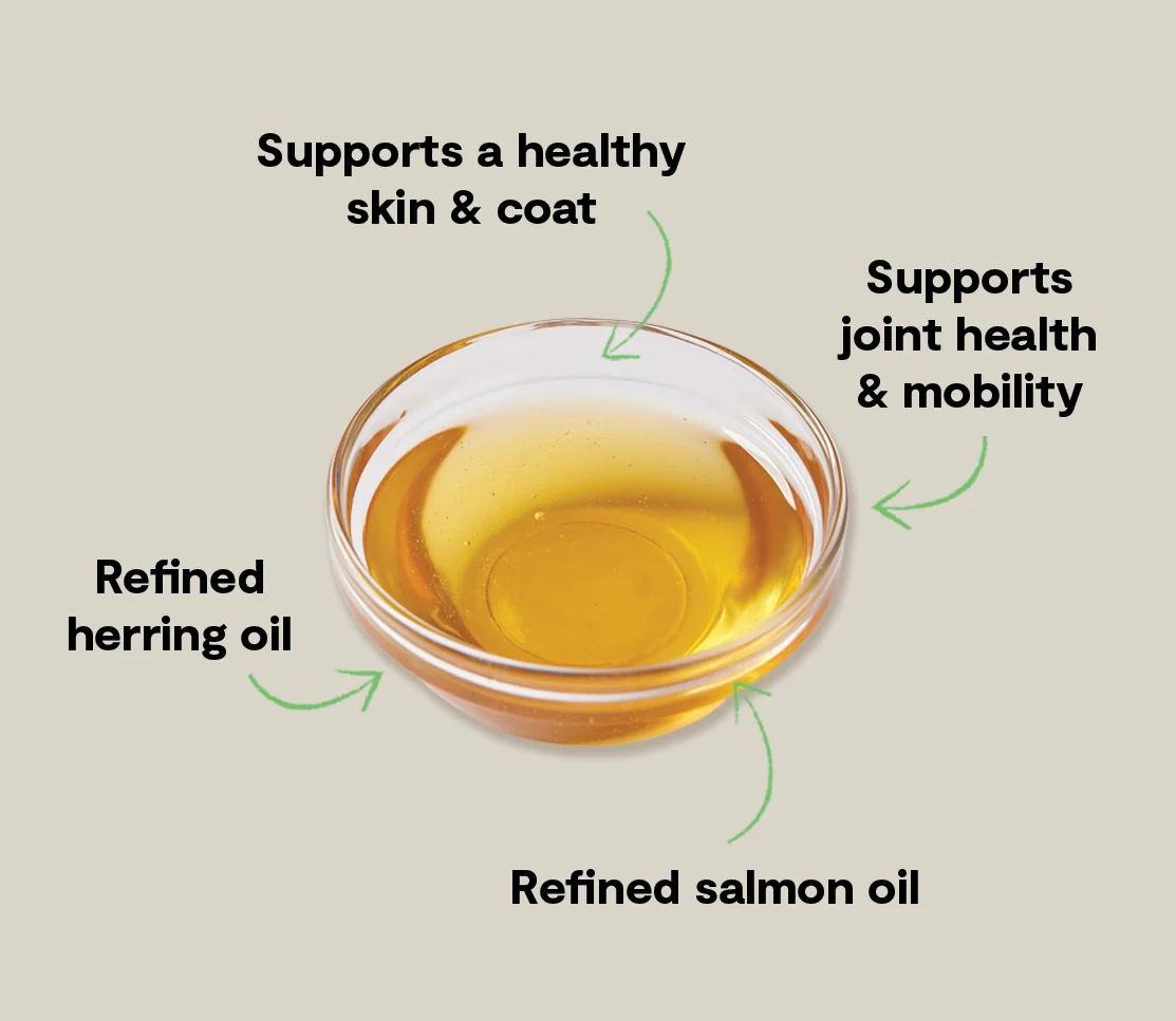 Icelandic Herring & Salmon Oil For Cats - Image 3