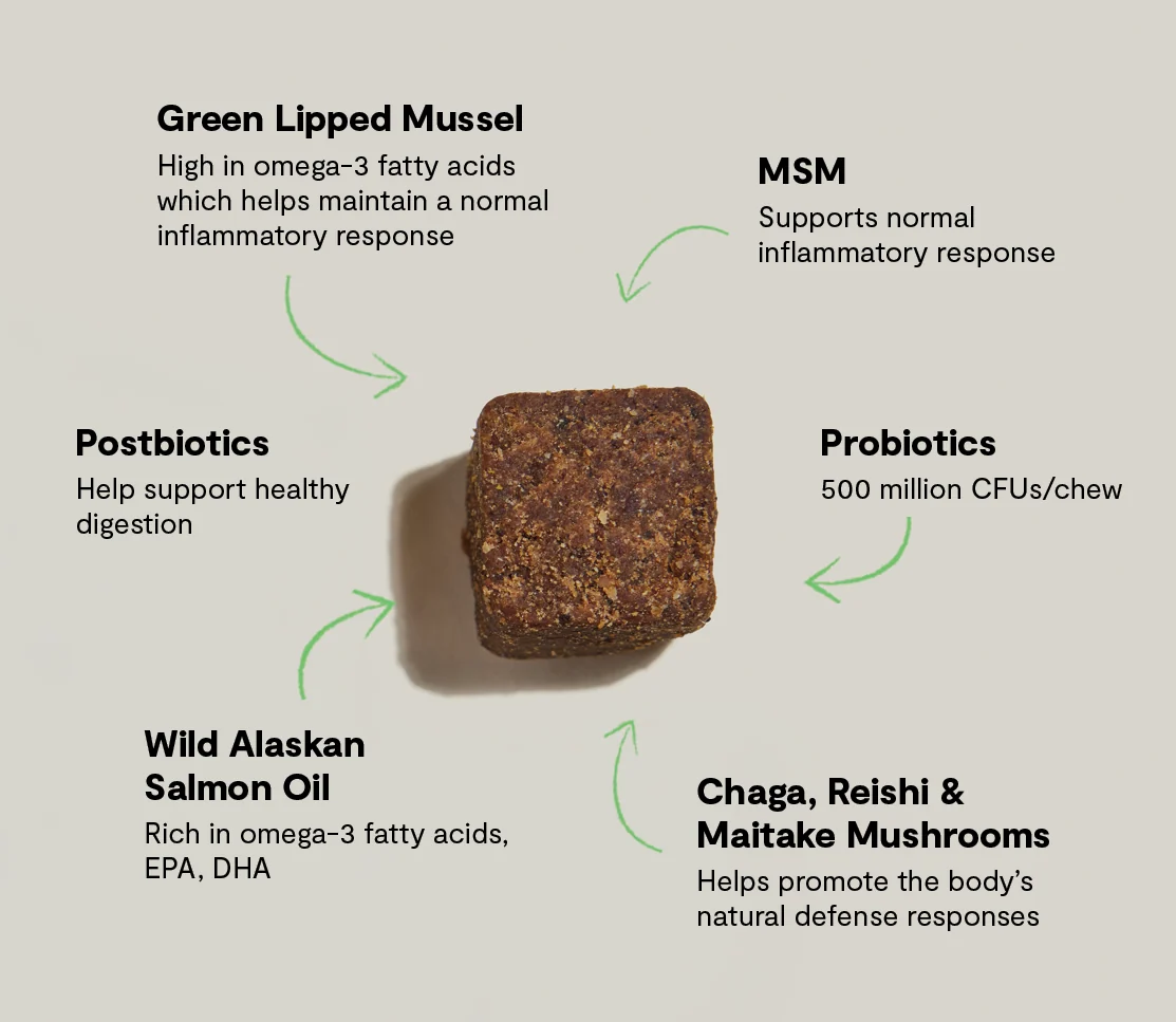 Multi+ Supplement Chews for Dogs - Image 5