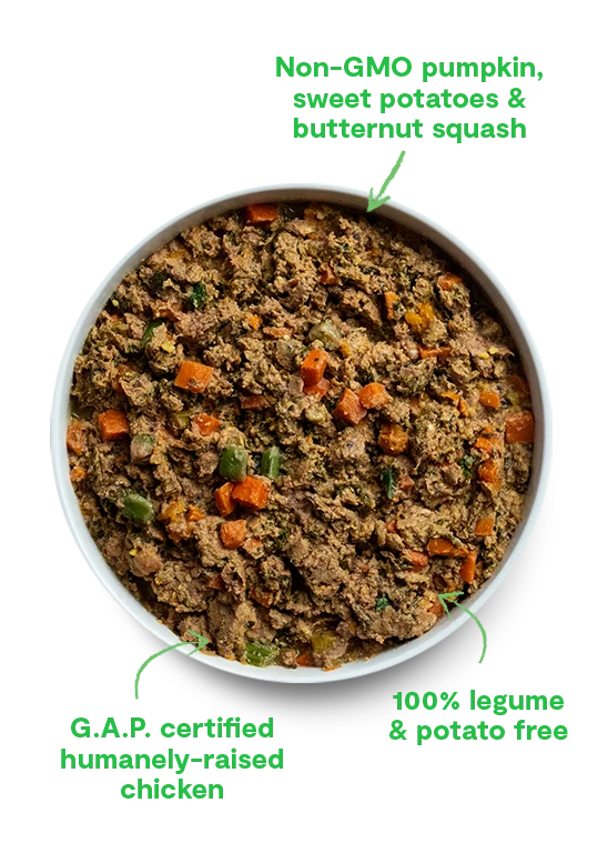 Limited Edition Winter Blend Gently Cooked for Dogs - Image 2
