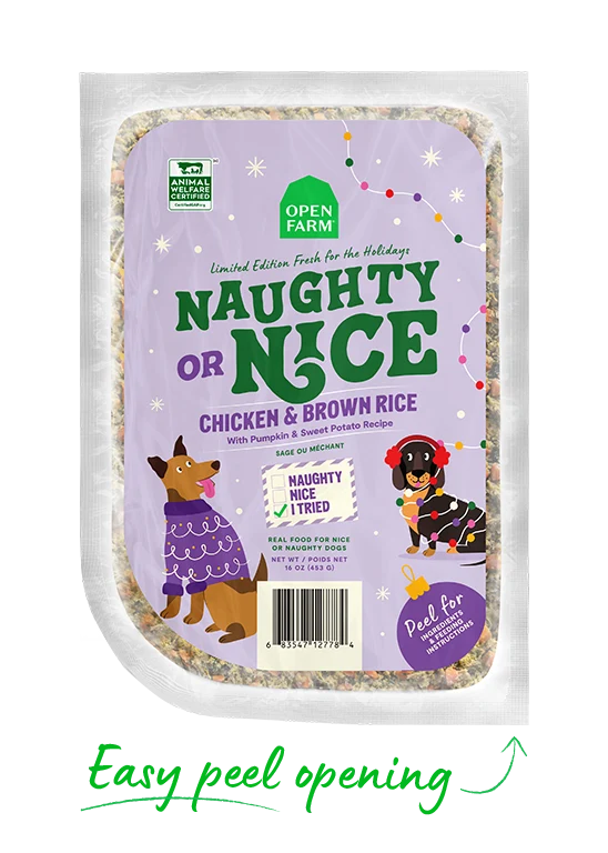 Limited Edition Winter Blend Gently Cooked for Dogs - Image 3