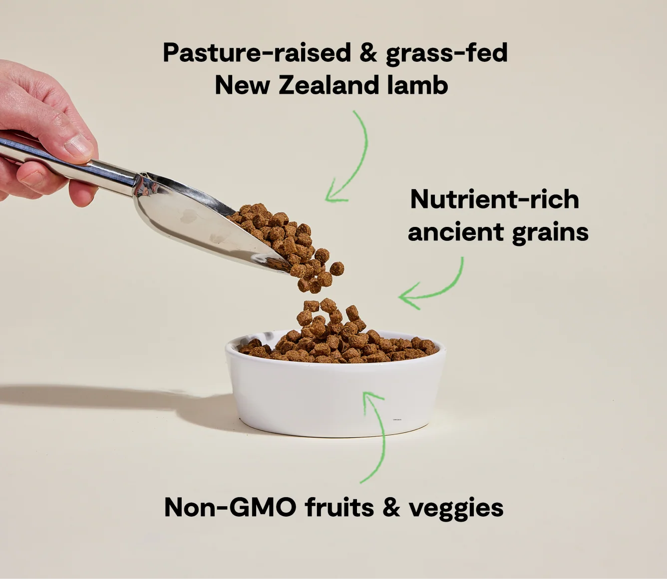 Pasture-Raised Lamb & Ancient Grains Dog Kibble - Image 4