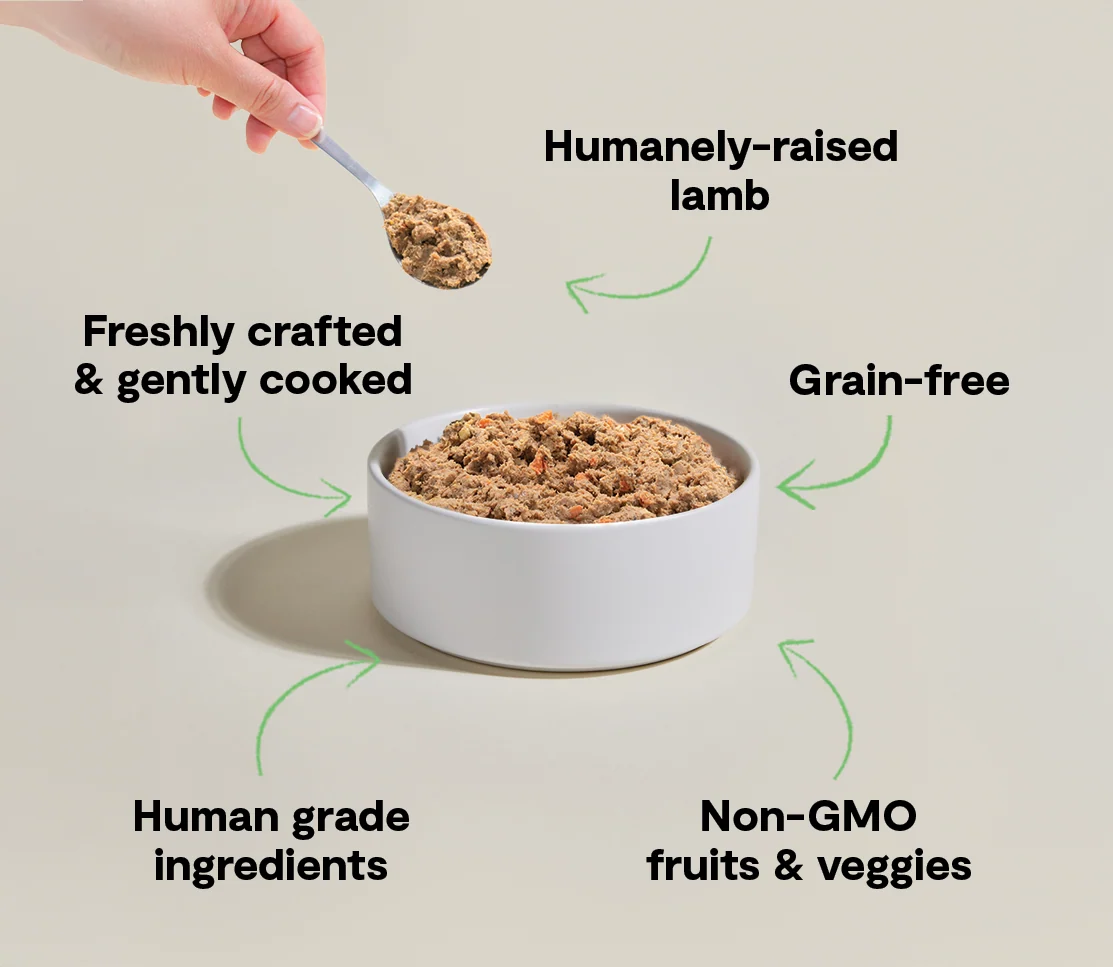 Pasture-Raised Lamb Freshly Crafted Dog Food - Image 4