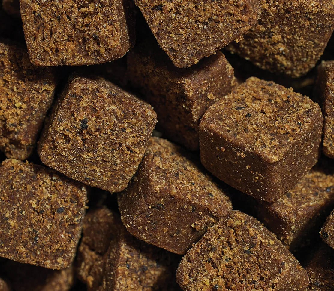 Probiotic Supplement Chews for Dogs - Image 3