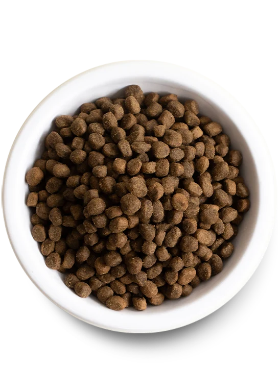 Puppy Essentials Pack - Image 3