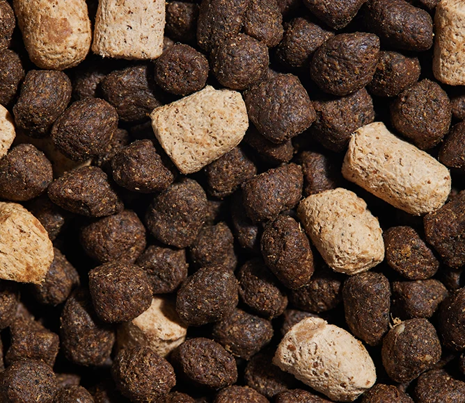 RawMix Great Plains Ancient Grains Dog Kibble - Image 5