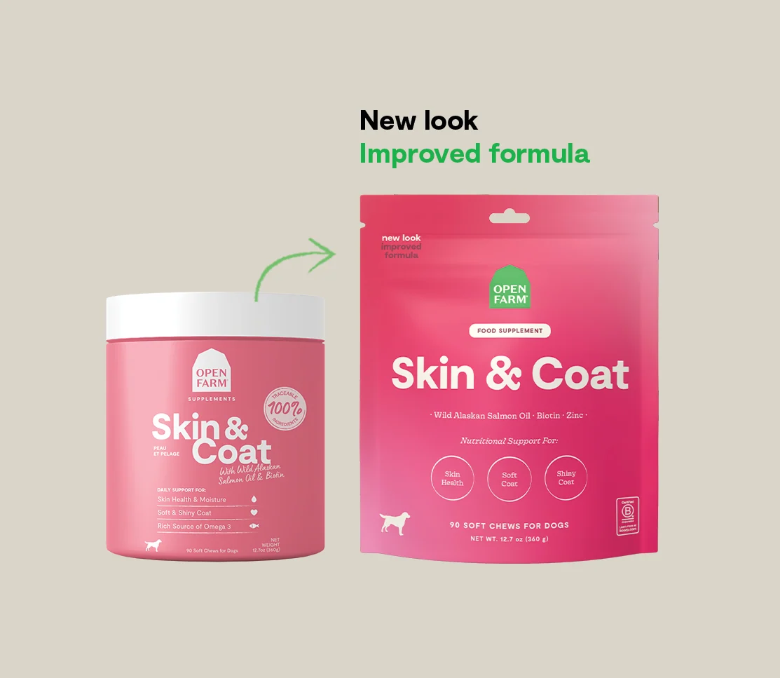 Skin & Coat Food Supplement Chews for Dogs - Image 6