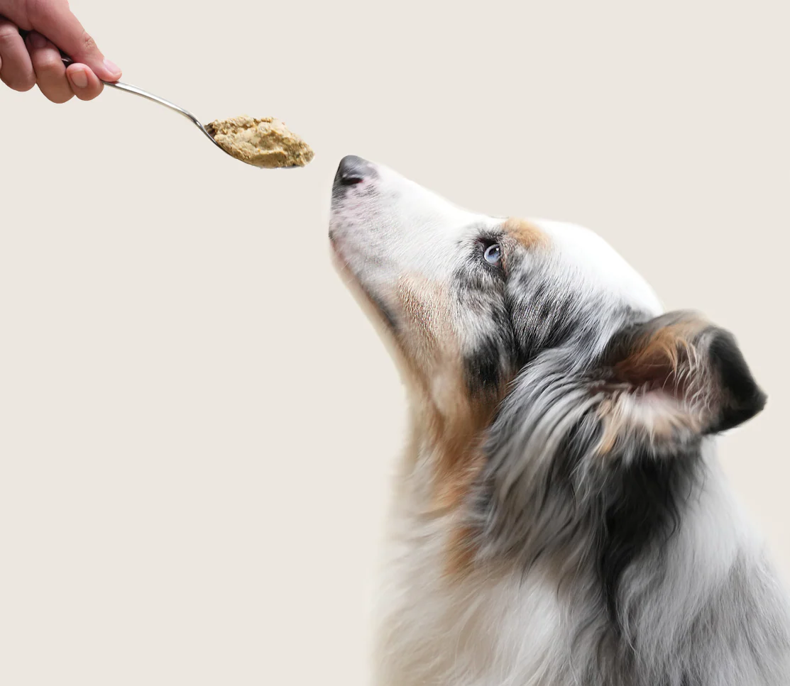 Puppy Grain-Free Freshly Crafted Dog Food - Image 5