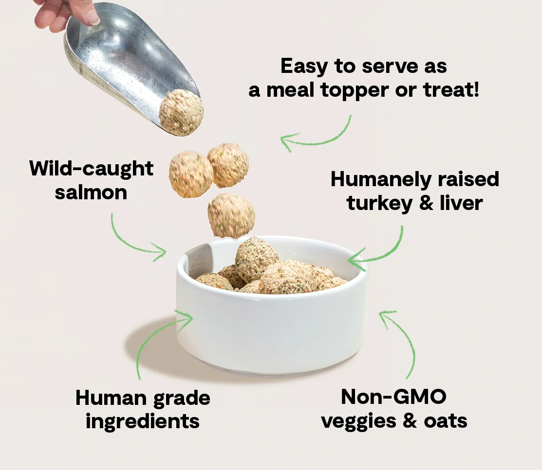 Turkey & Salmon Freshly Crafted Meatballs for Dogs - Image 5