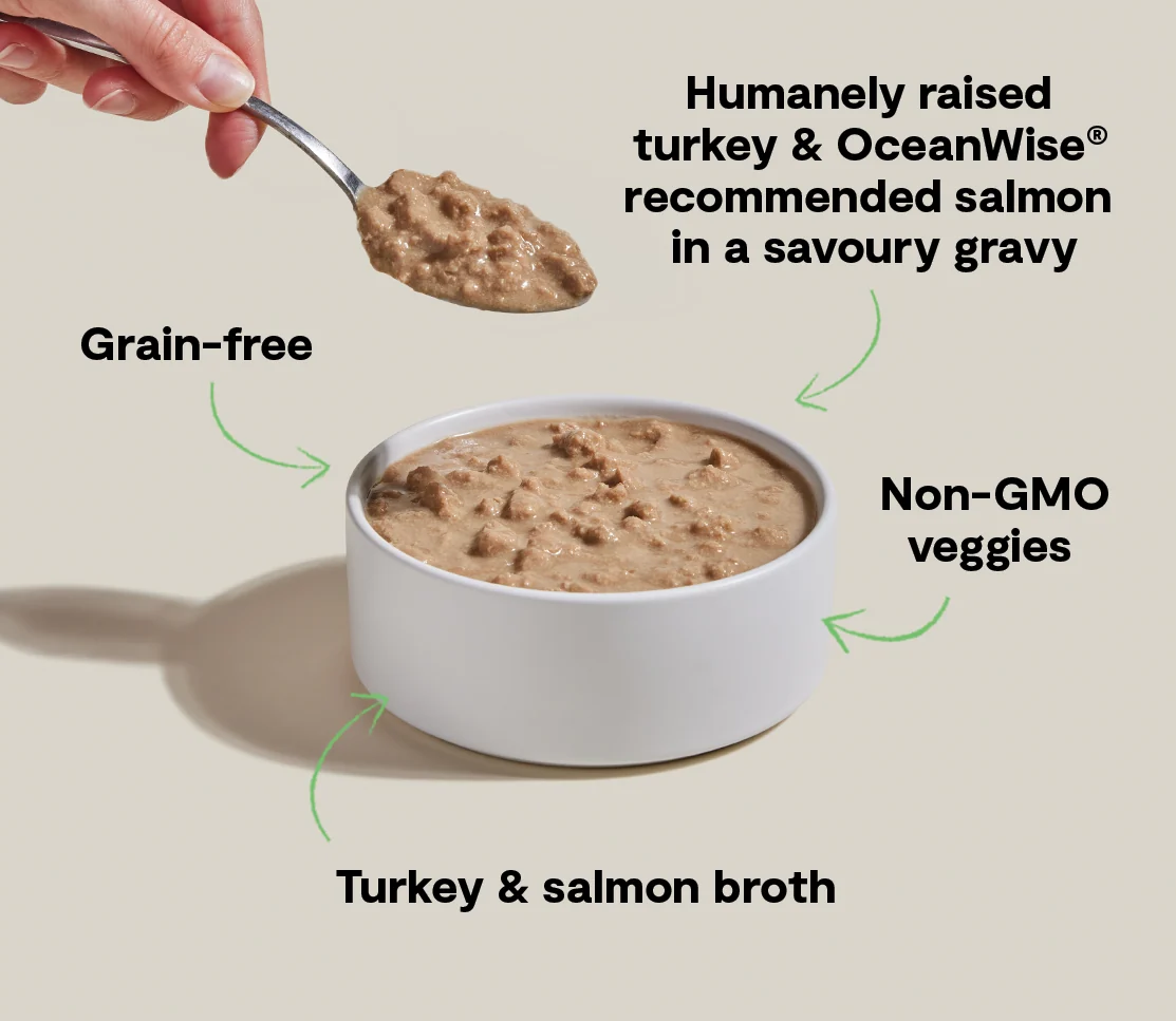 Turkey & Salmon Morsels in Gravy for Cats - Image 4