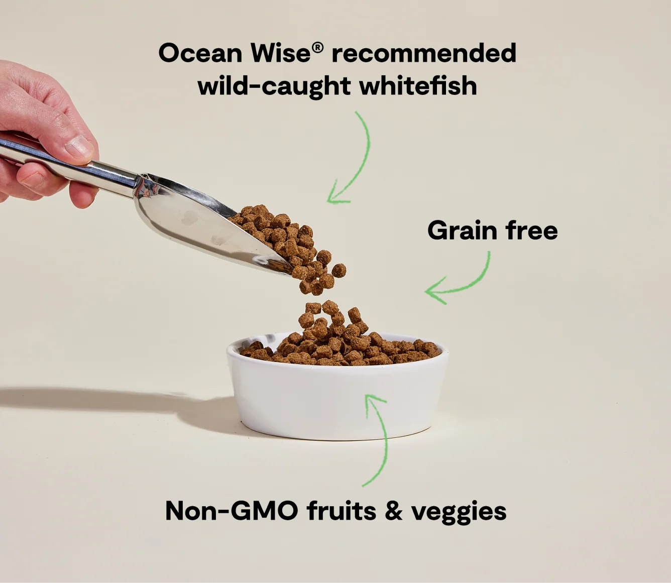 Whitefish Grain-Free Dog Kibble - Image 4