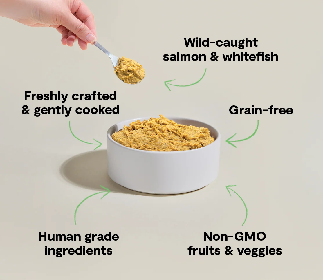 Wild-Caught Fish Freshly Crafted Dog Food - Image 4