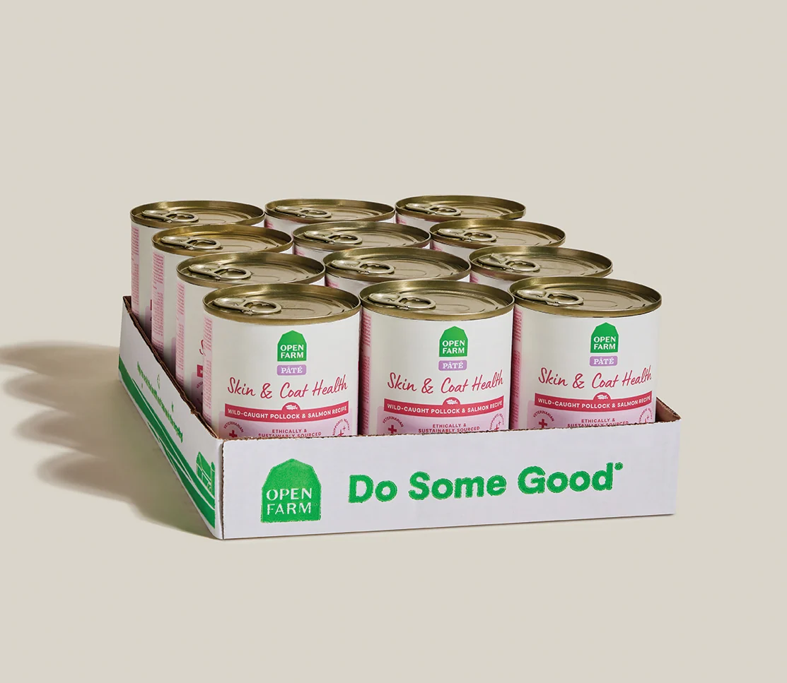 Wild-Caught Pollock & Salmon Skin & Coat Health Pâté for Dogs - Image 7
