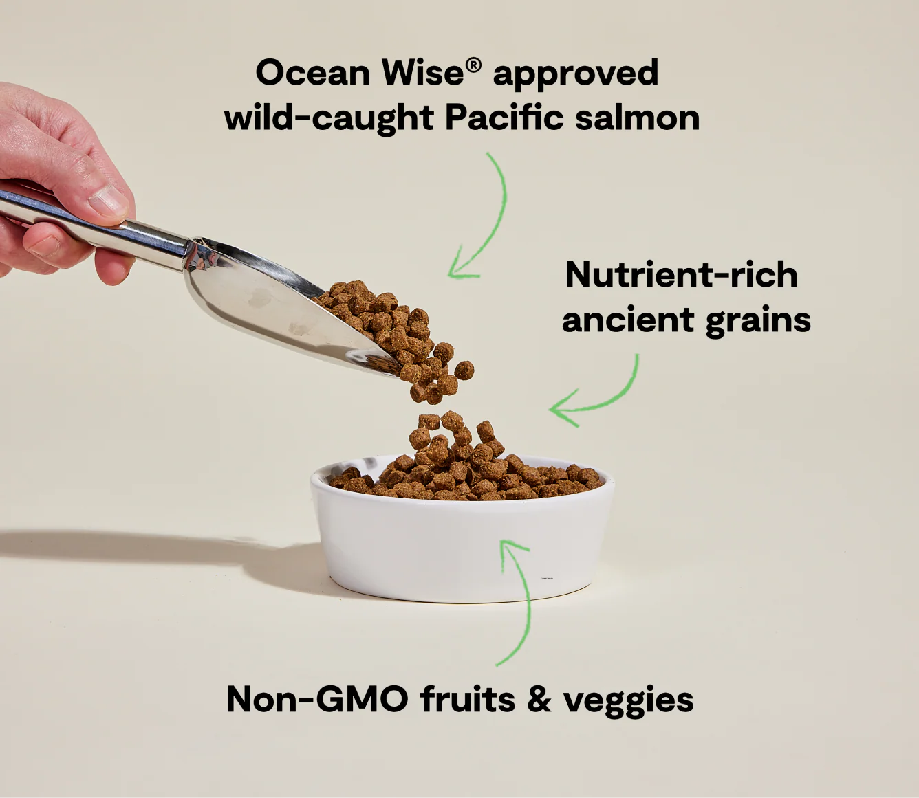 Wild-Caught Salmon & Ancient Grains Dog Kibble - Image 4