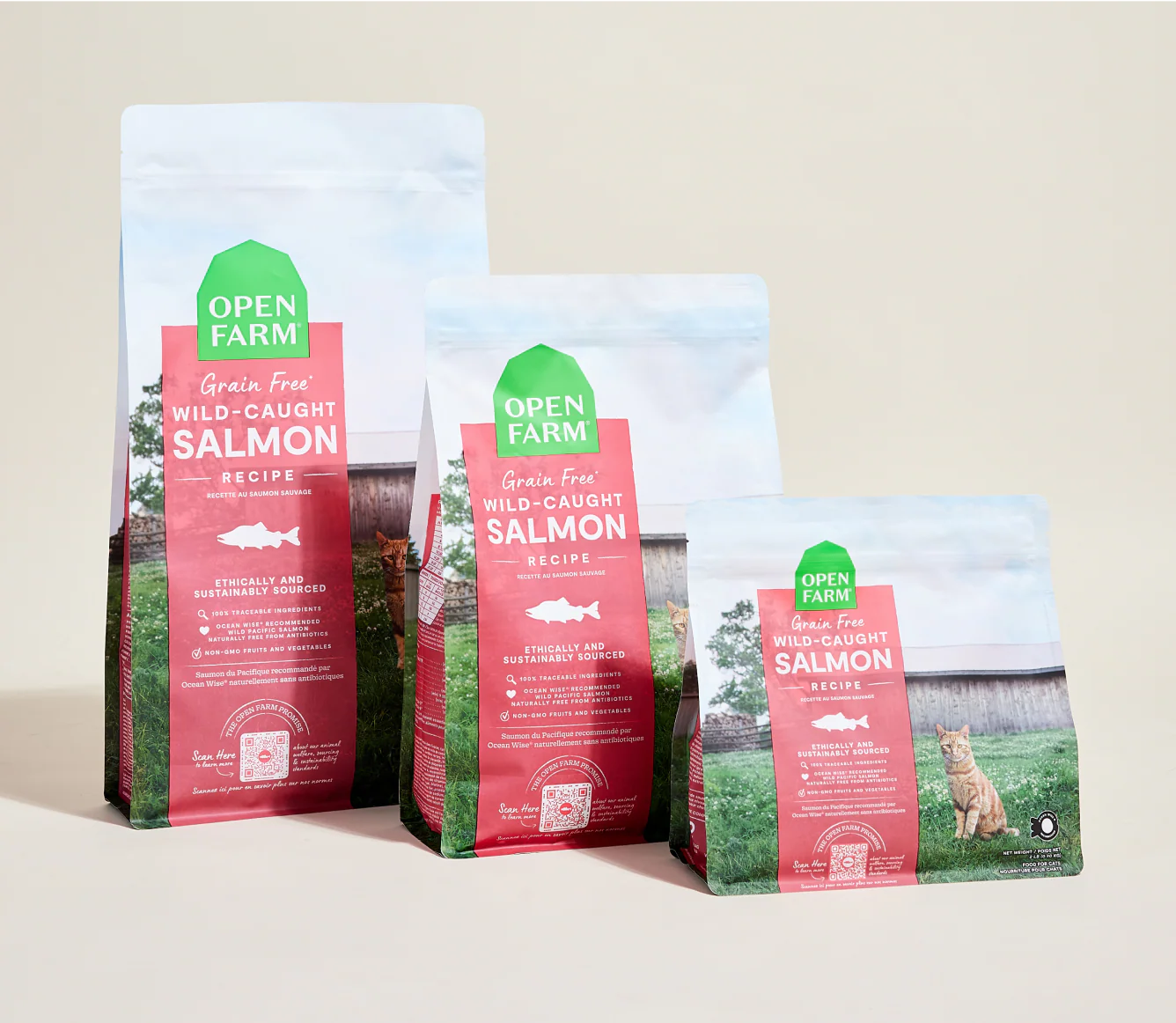 Wild-Caught Salmon Grain-Free Cat Kibble - Image 7