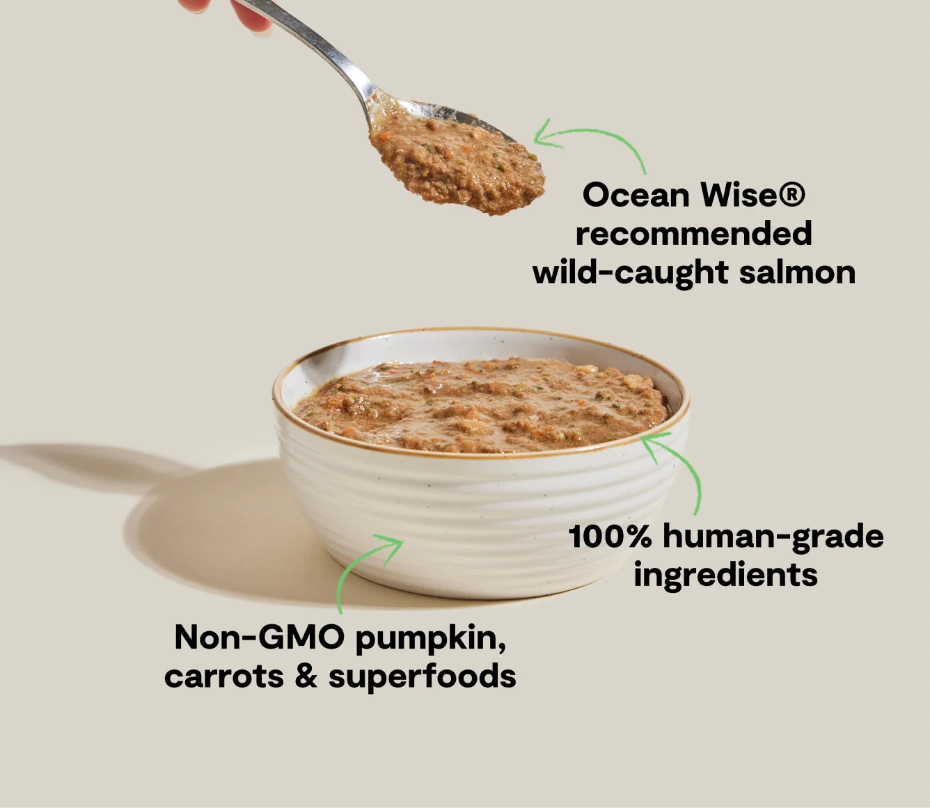 Wild-Caught Salmon Rustic Blend Wet Cat Food - Image 4